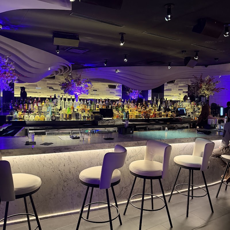 STK Steakhouse
